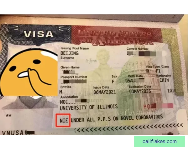 巴勒斯坦足协主席美国签证被拒
